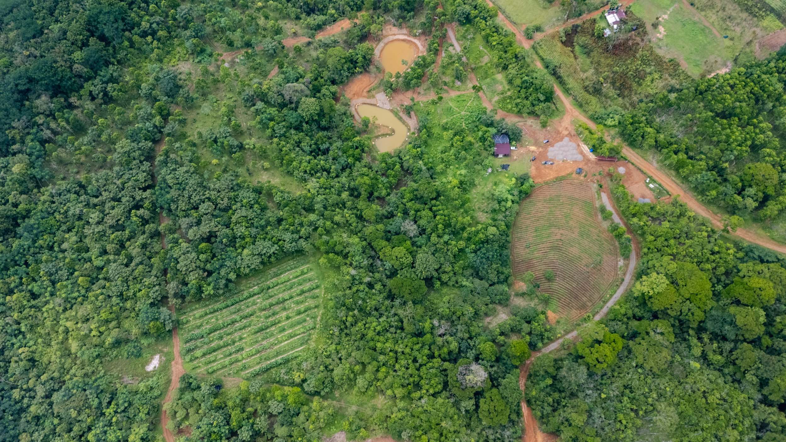 La finca desde el aire: bosque, dos lagunas y bloques sembrados en curvas de nivel.