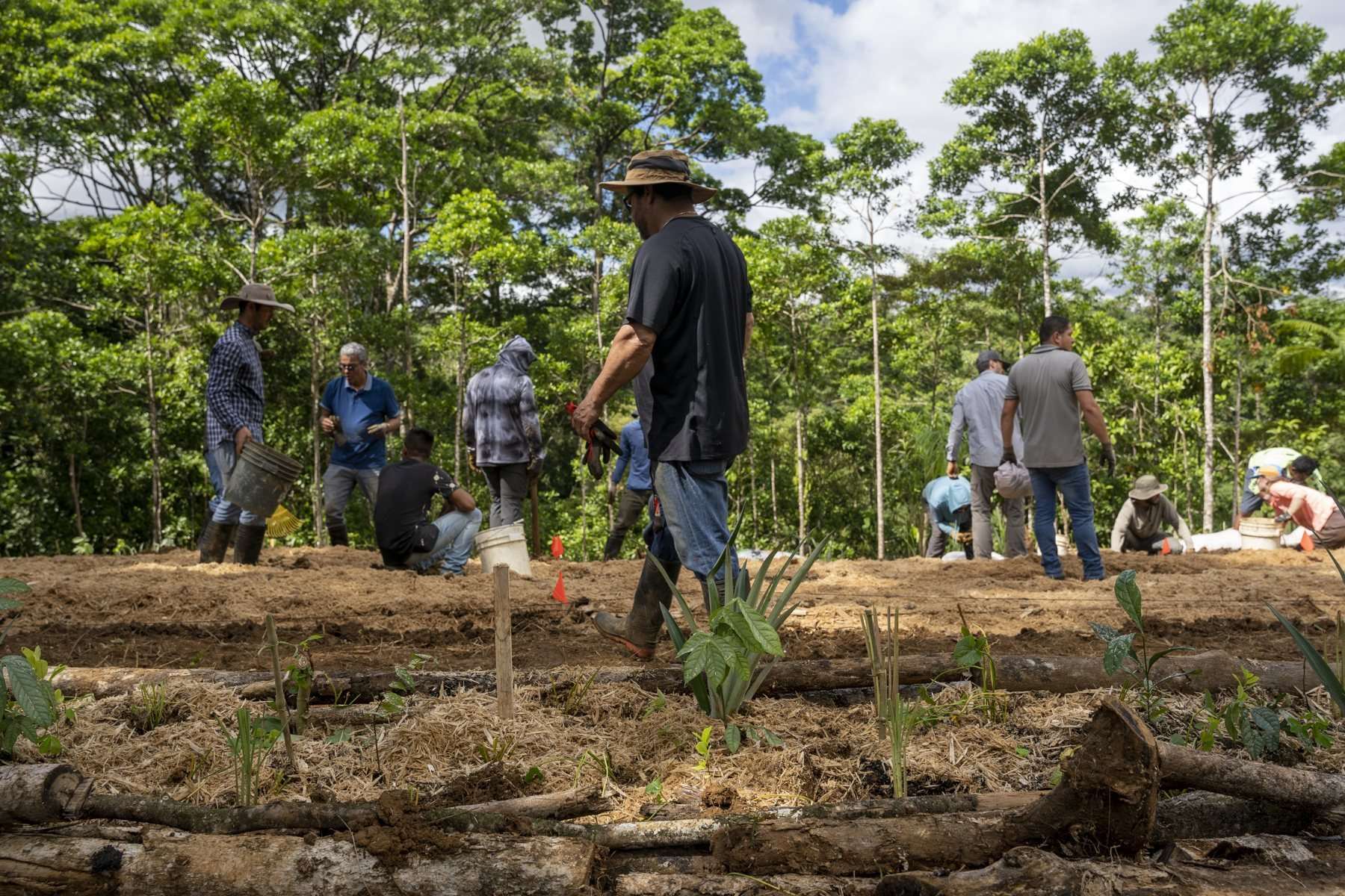 El grupo caminando entre las hileras recién sembradas.